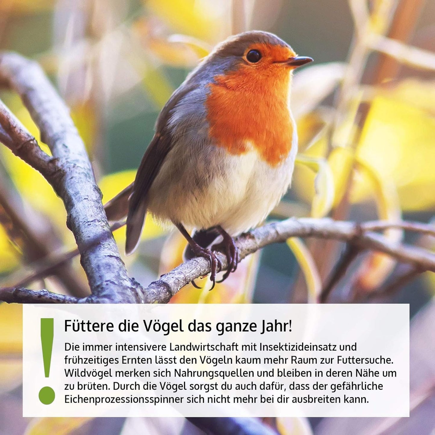 Futterstation Premium XL Vogelfutterspender Vogelfutterhaus Metall Futtersilo