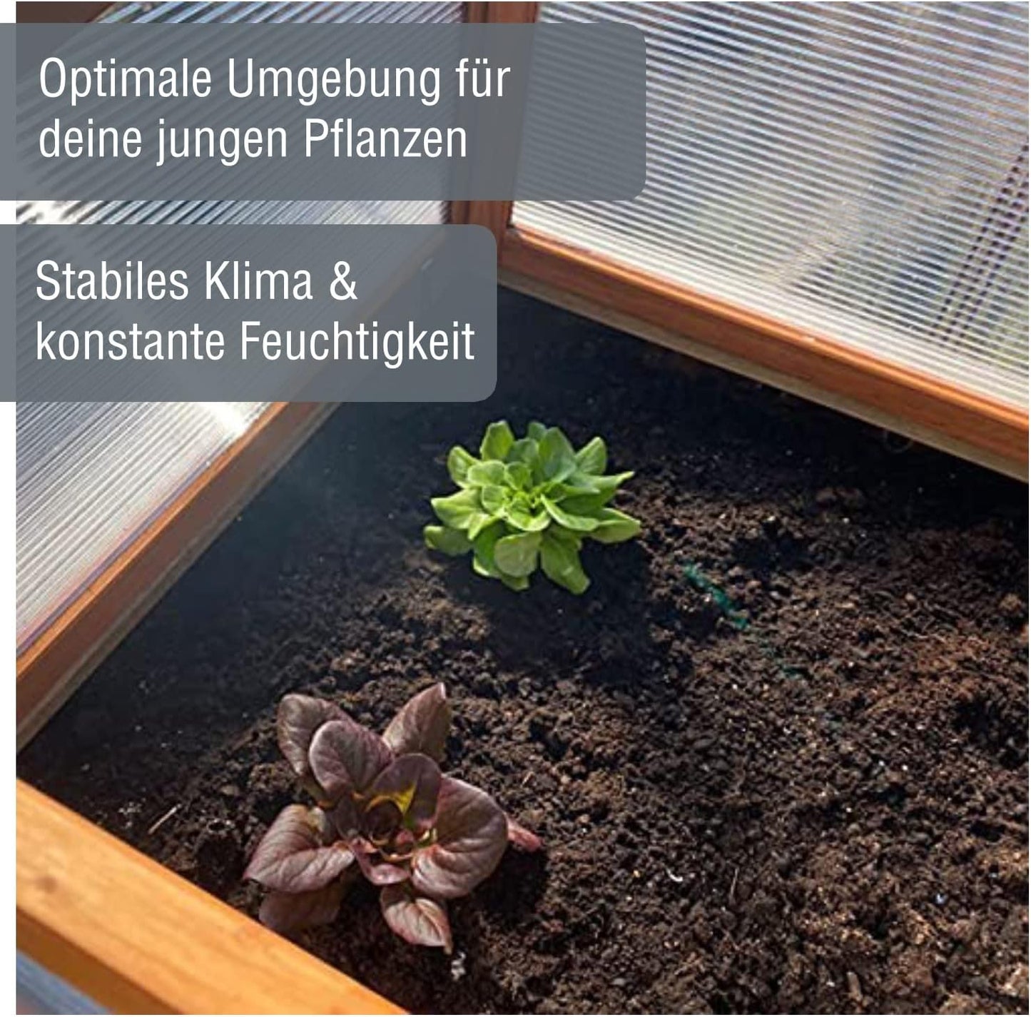 Frühbeet Aufzucht Herba Gewächshaus