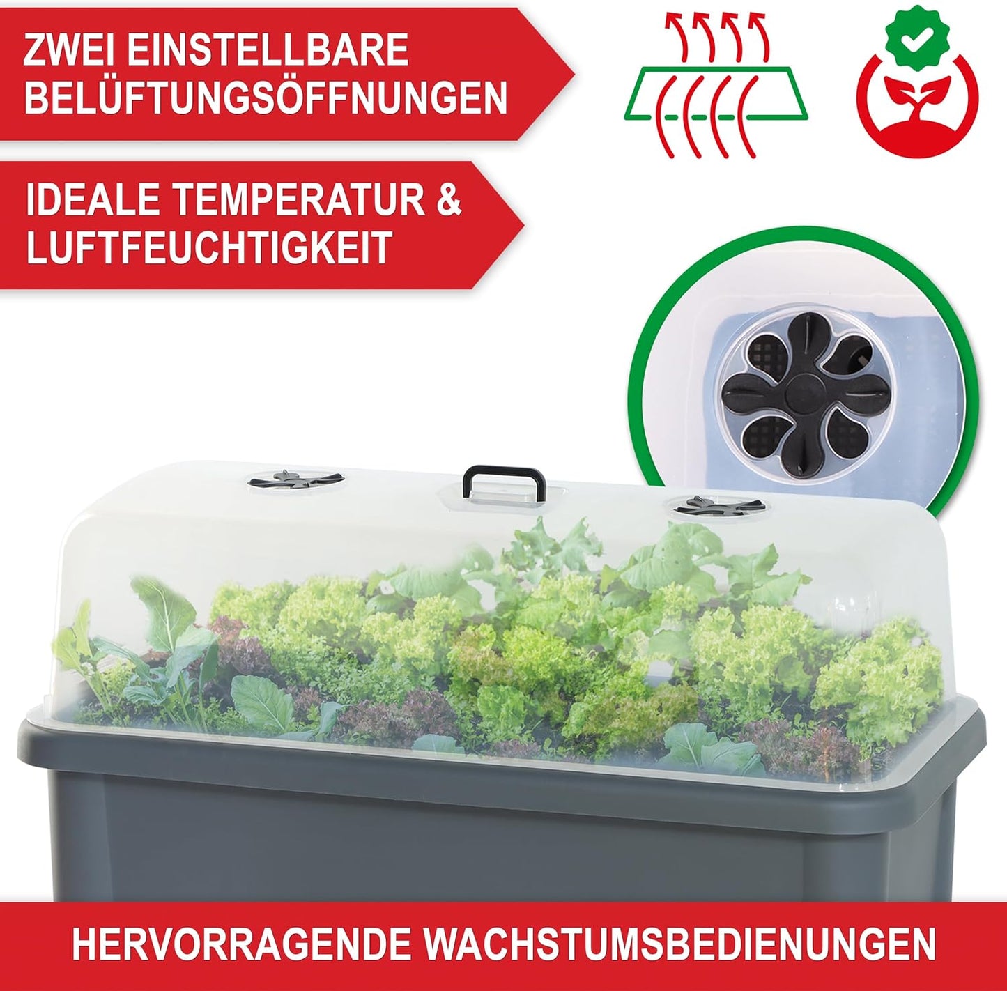Hochbeet Frühbeet Kräuterhochbeet Anzucht Pflanzkasten Grau