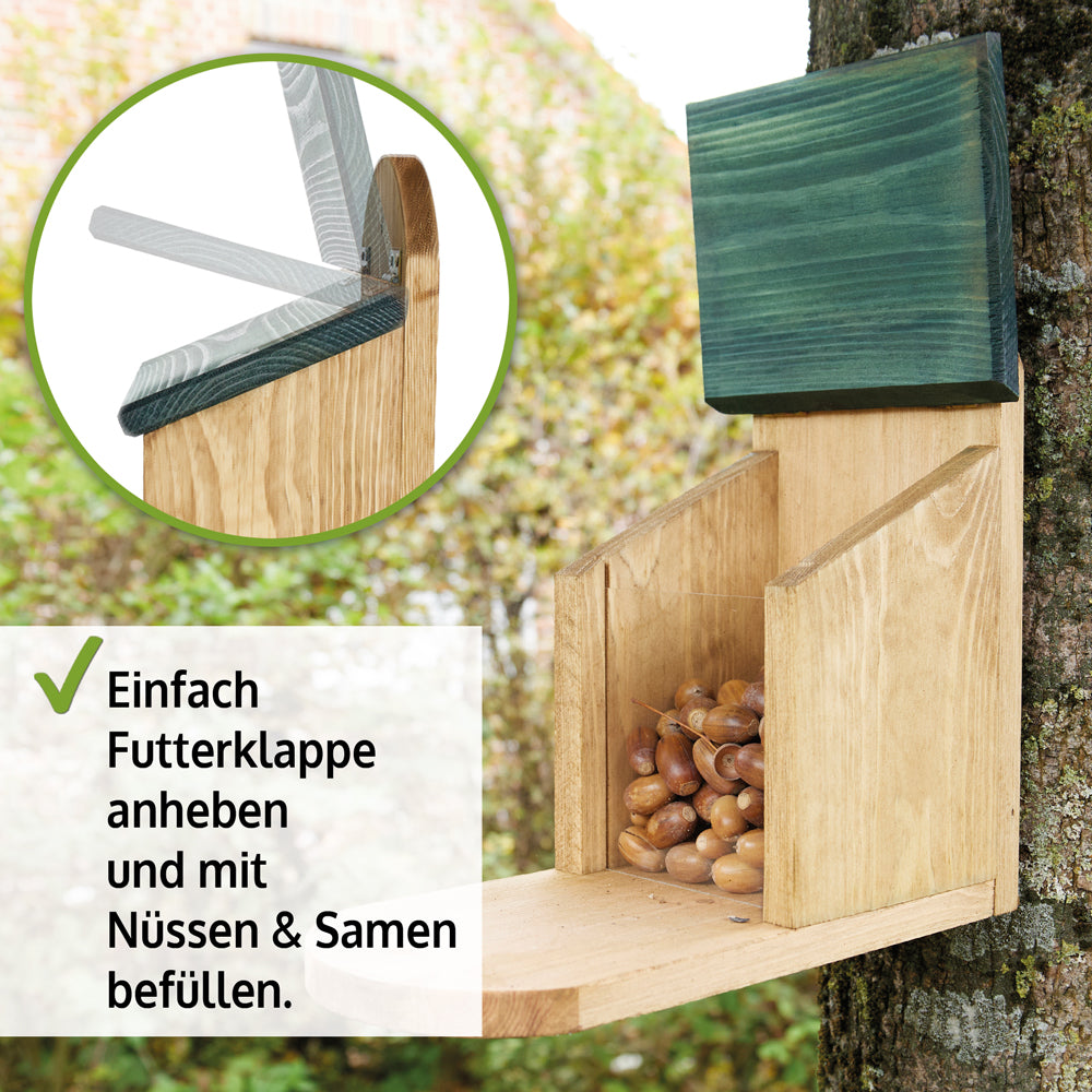 Eichhörnchenhaus Eichhörnchen Futterstation