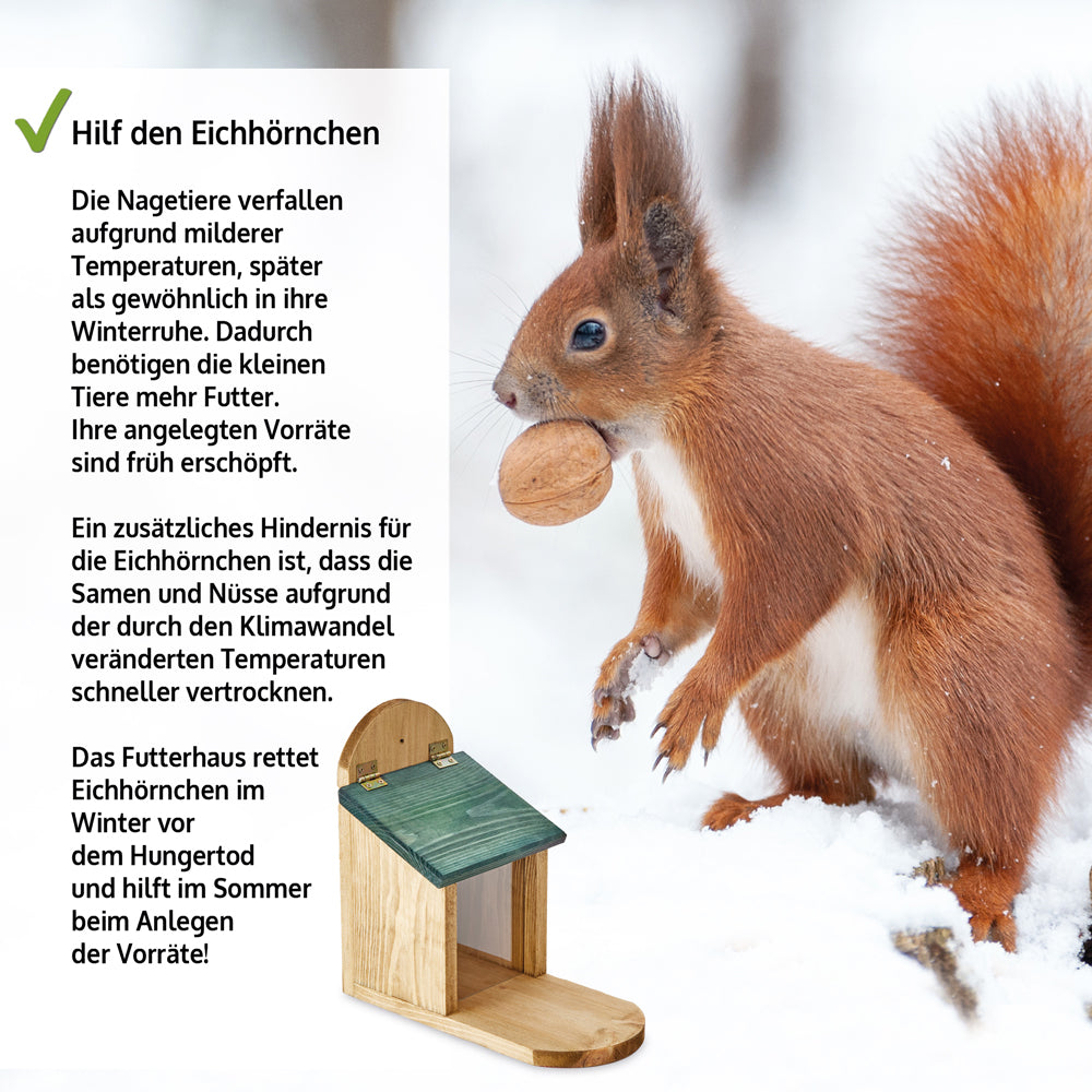 Eichhörnchenhaus Eichhörnchen Futterstation