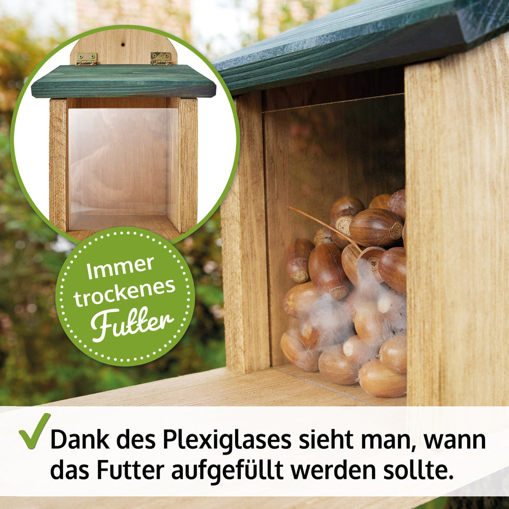 Eichhörnchenhaus Eichhörnchen Futterstation