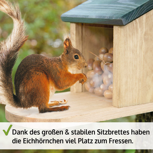 Eichhörnchenhaus Eichhörnchen Futterstation