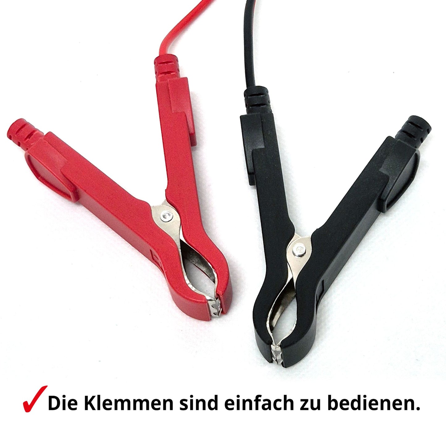 Erhaltungsladegerät