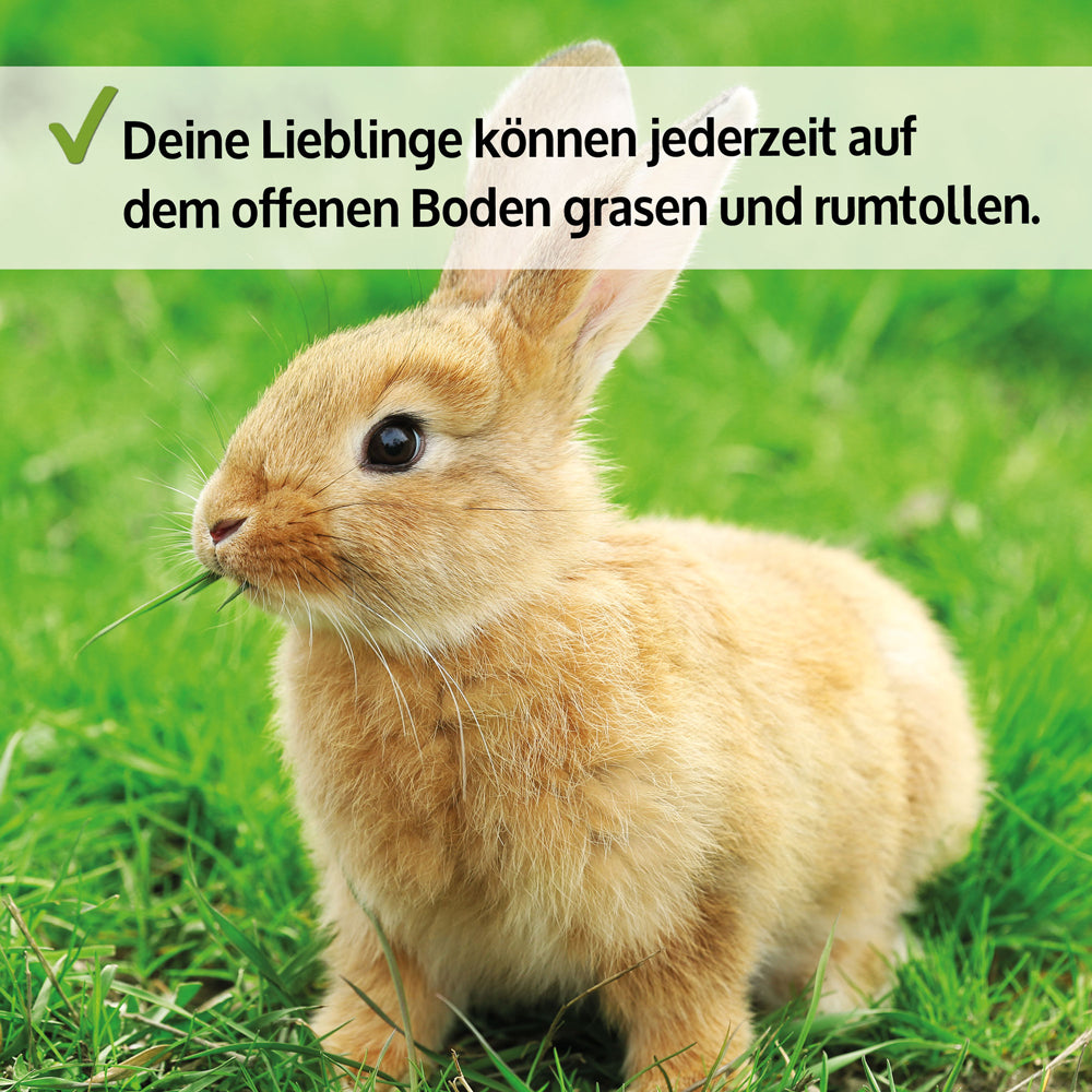 Hasenstall Kaninchenstall Meerschweinchenstall Jumbo