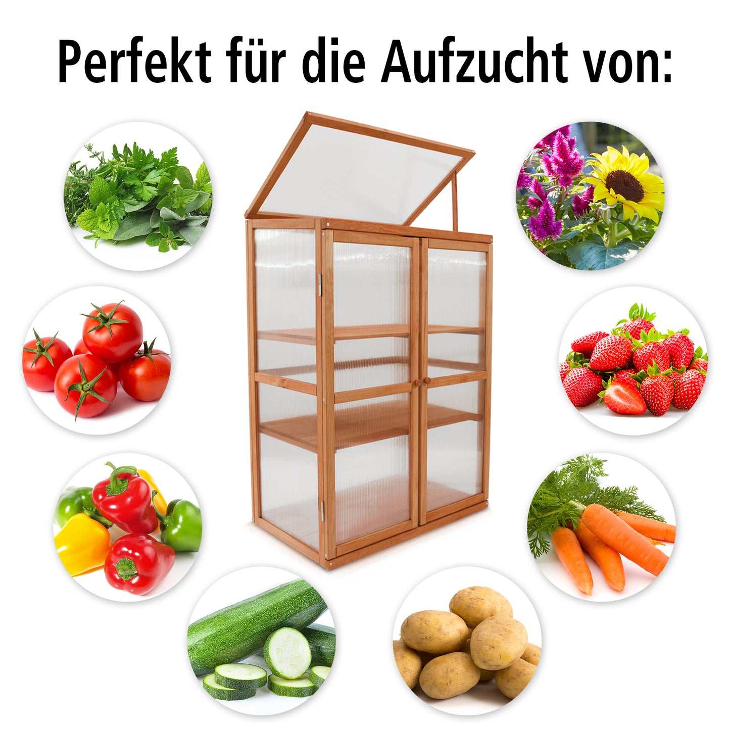 Pflanzschrank Aufzucht Gewächshaus Treibhaus