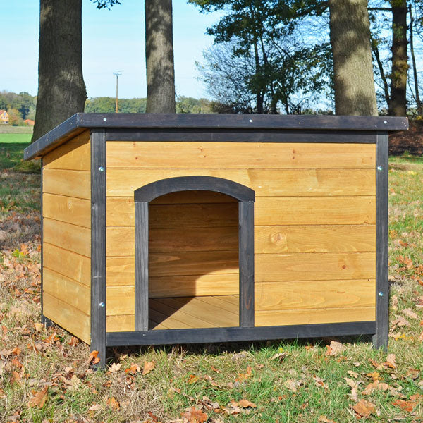 Hundehütte Hundehaus Hundeschlafplatz Carlo M