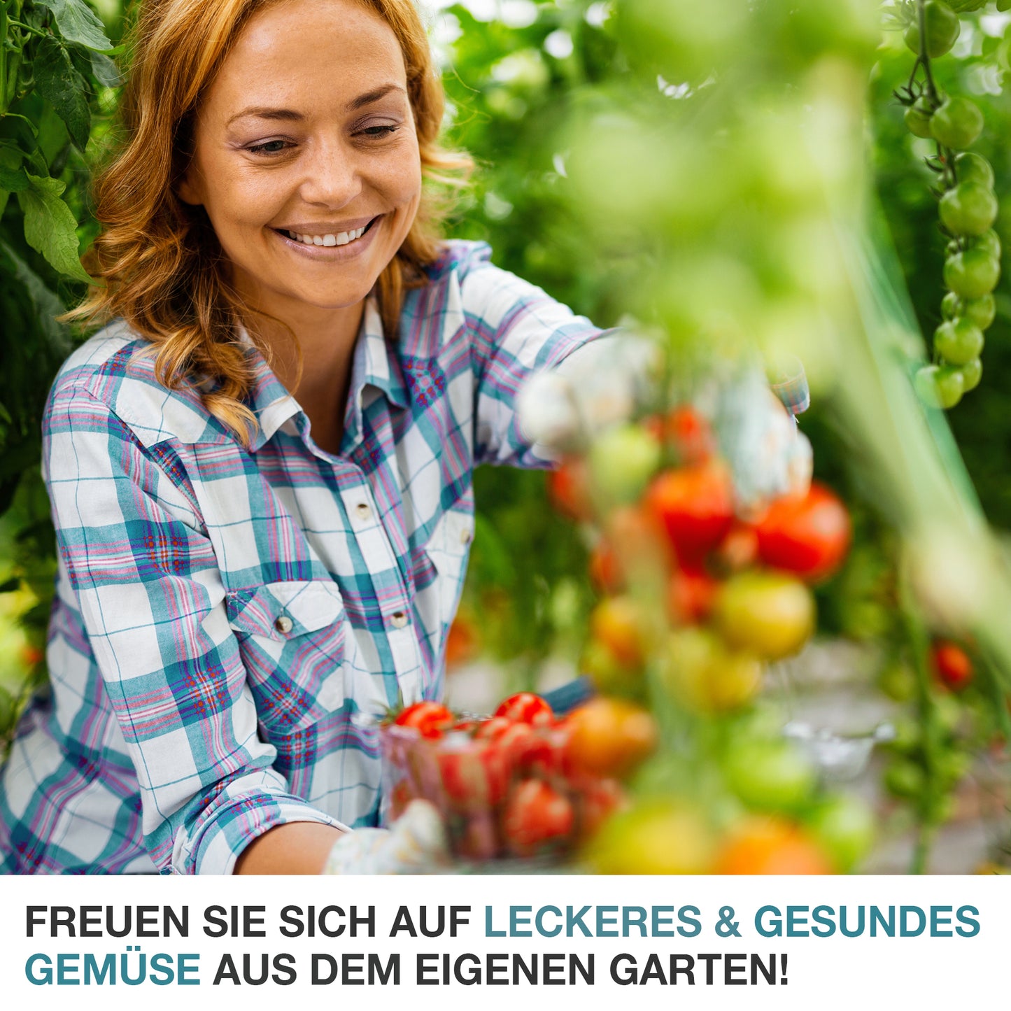 Gewächshaus Foliengewächshaus Frühbeet Tomatengewächshaus Treibhaus