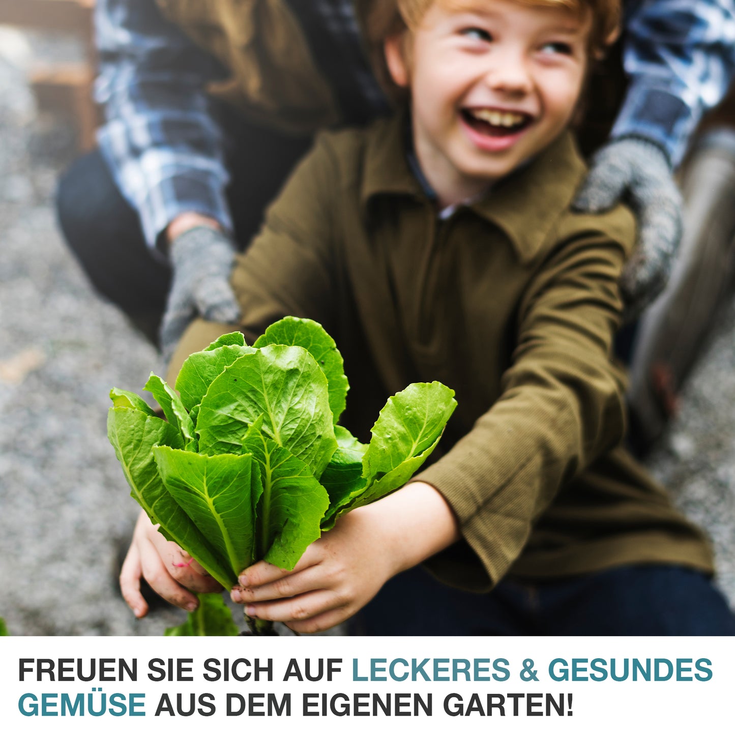 Gewächshaus Foliengewächshaus Frühbeet Tomatengewächshaus Treibhaus 120 x 60 x 60 (B x H x T)