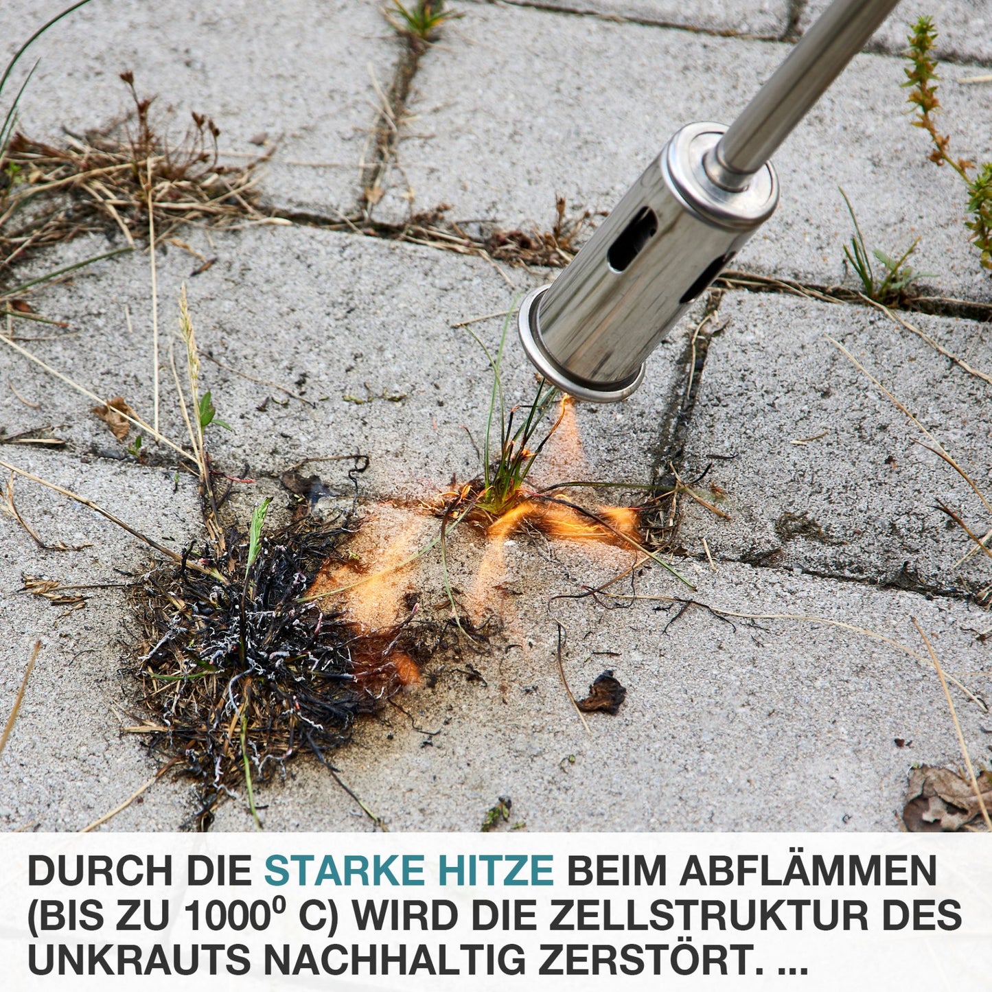 Unkrautbrenner UB-300
