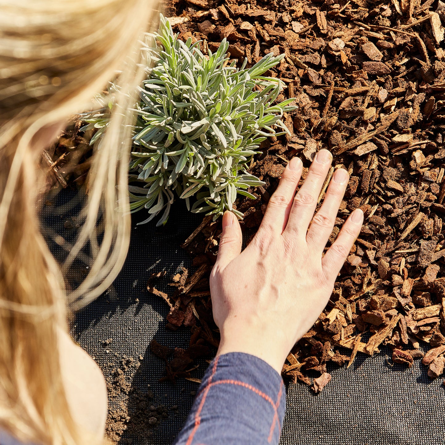 Gartenvlies Unkrautvlies Mulchvlies 50g/ m² 25 m Länge x 1 m Breite (550)
