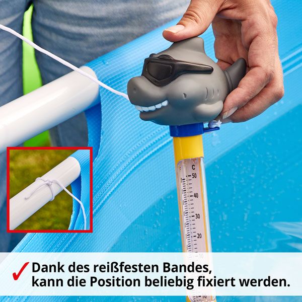 Wasser Thermometer Hai 060511