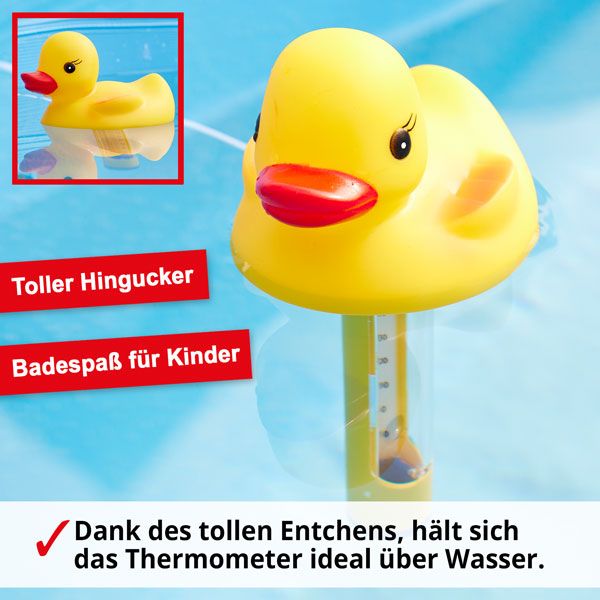 Wasser Thermometer Ente 060512