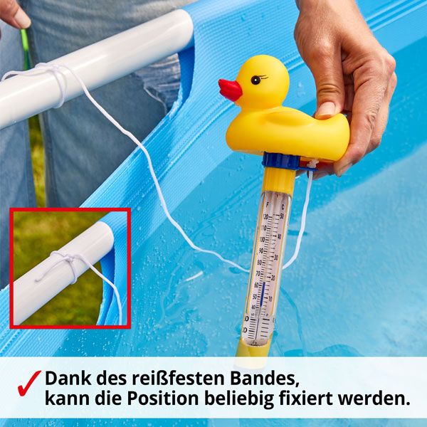 Wasser Thermometer Ente 060512