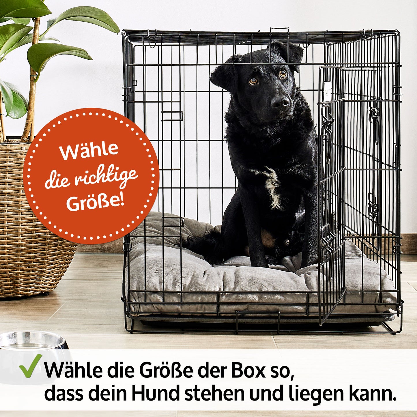 Hundetransportbox Größe XL – 105 x 70 x 76 cm (L x B x H), Gewicht 14,3 kg