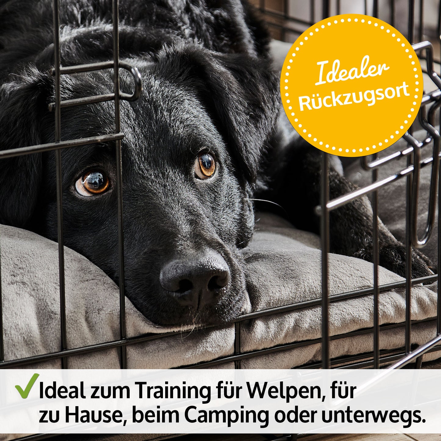 Hundetransportbox Größe XXL – 120 x 75 x 80 cm (L x B x H), Gewicht 16,5 kg