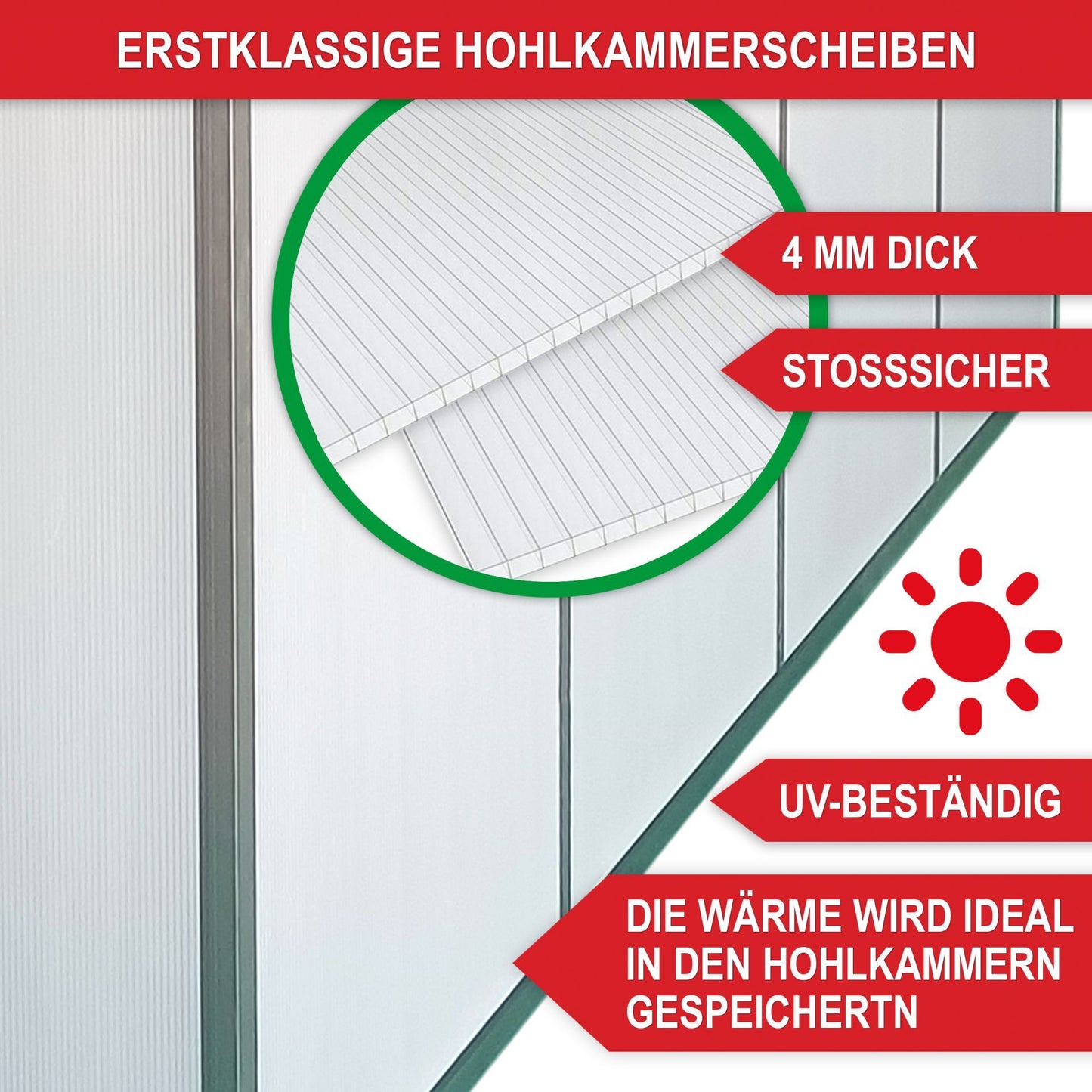 Gewächshaus Aluminium L