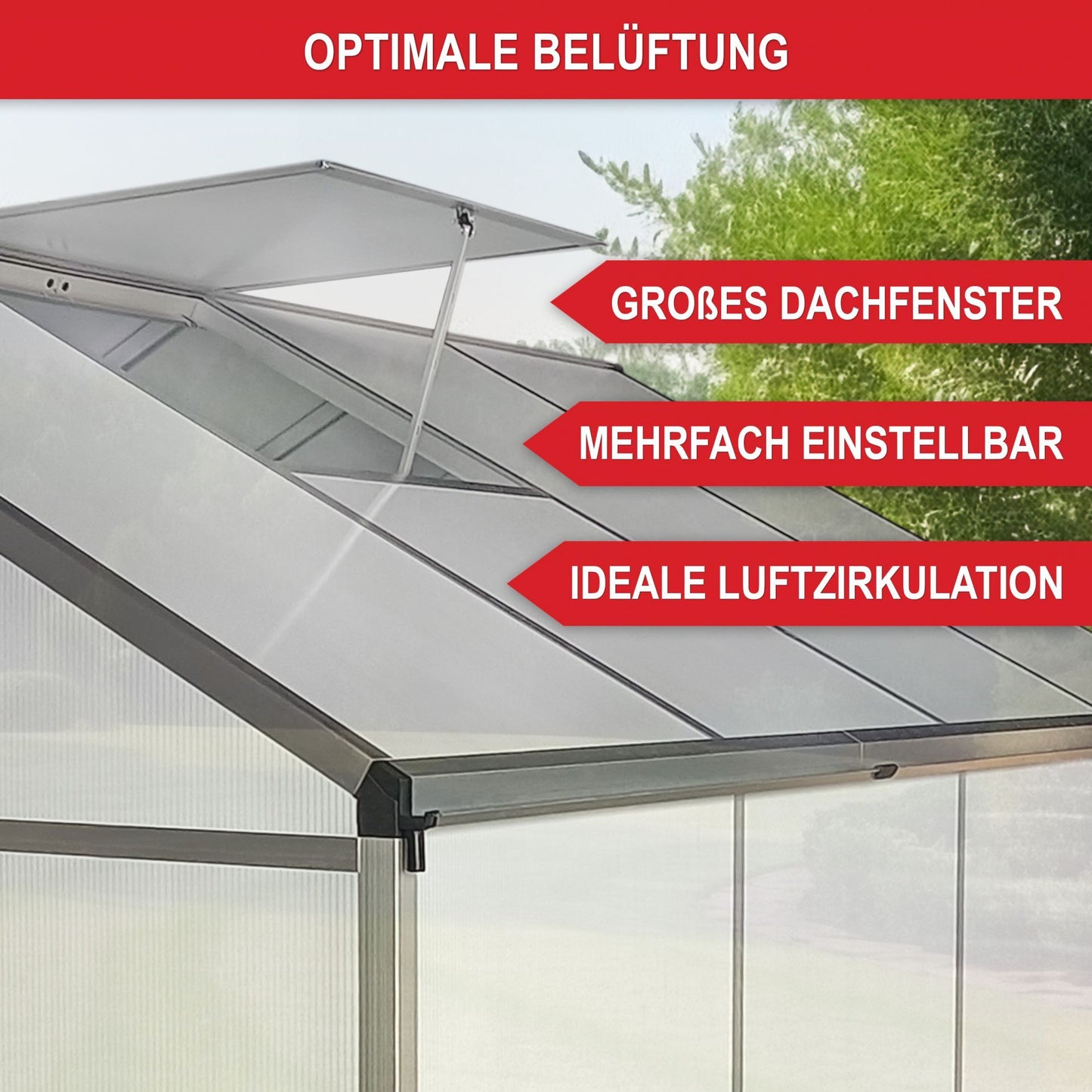 Gewächshaus Aluminium XL