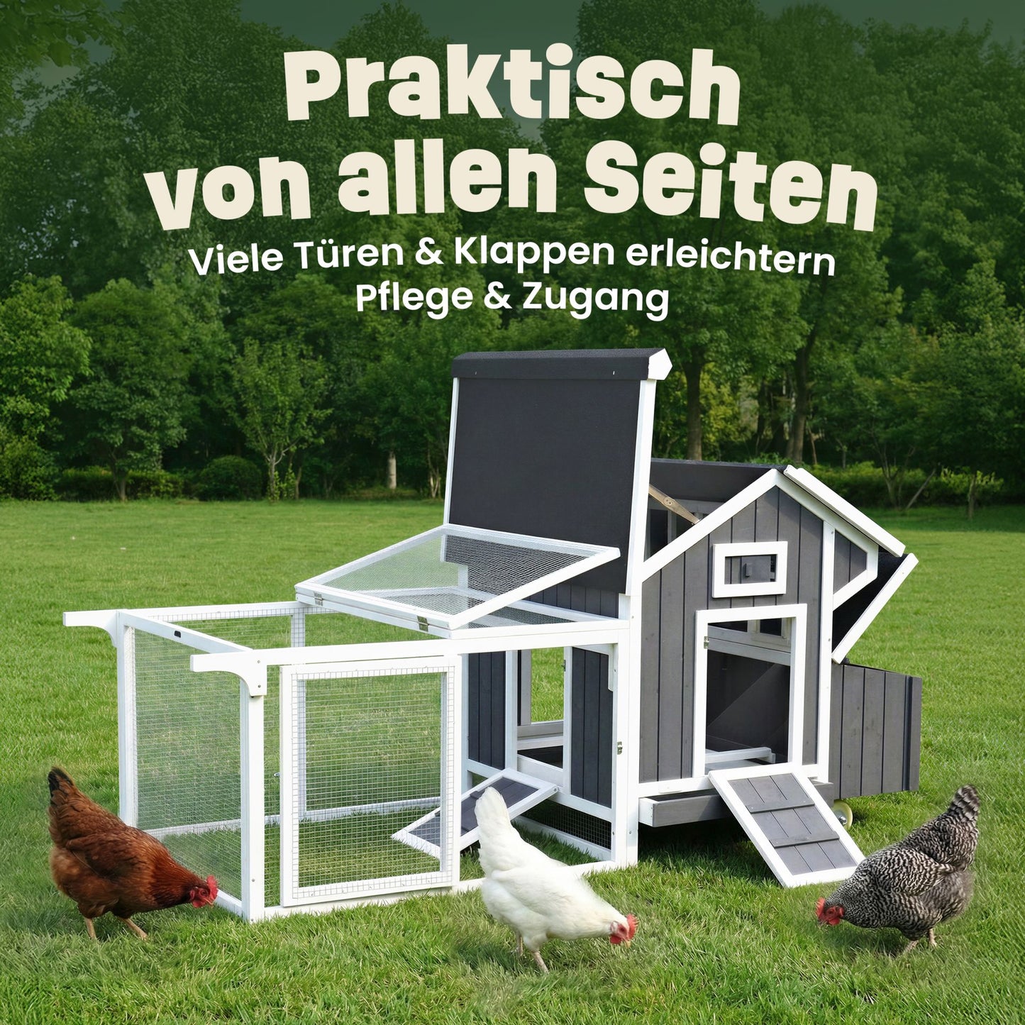 Hühnerstall Kükenstall Wachtelstall Hühnervoliere Franzi