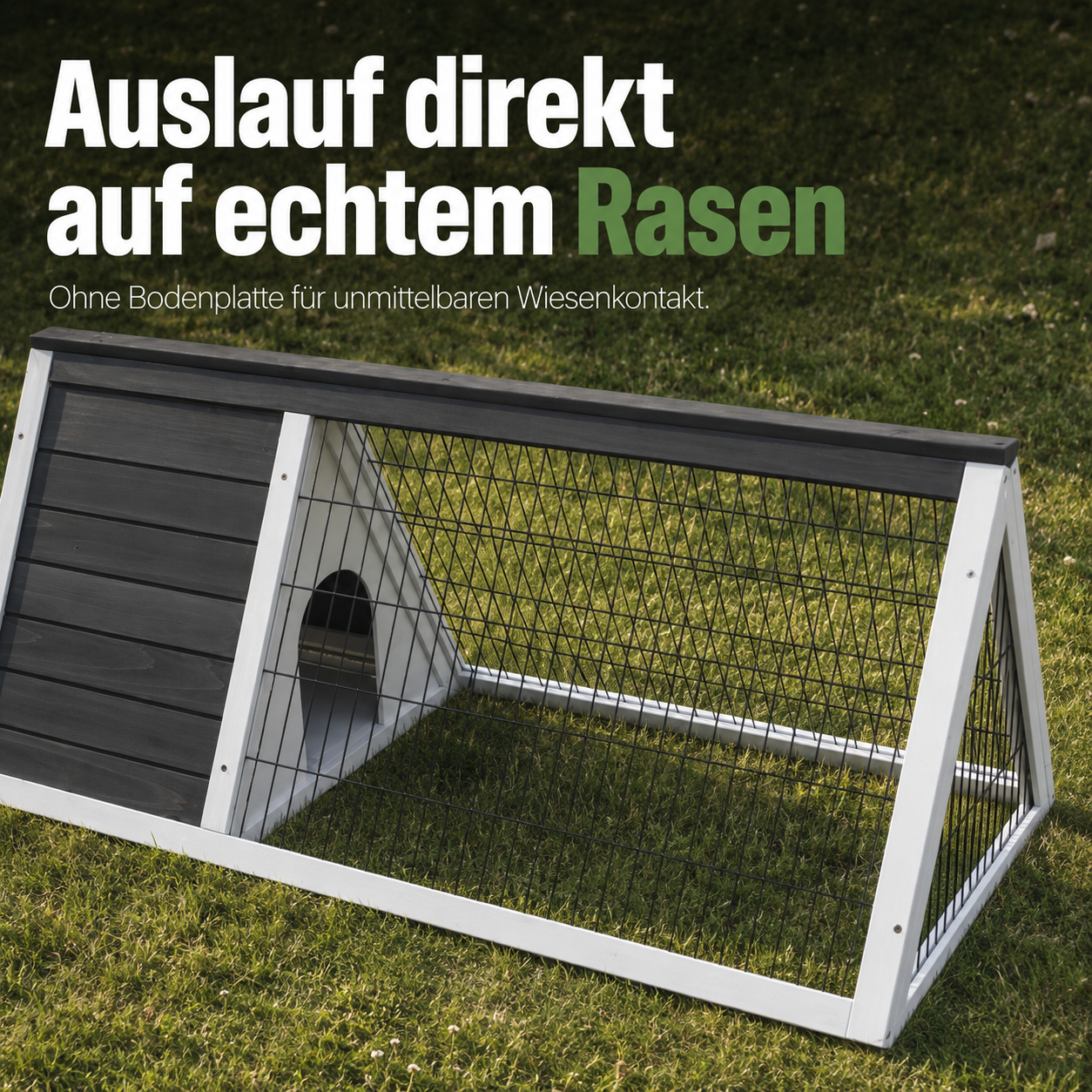 Kaninchenstall Hasenstall Meerschweinchenstall Grau Weiss
