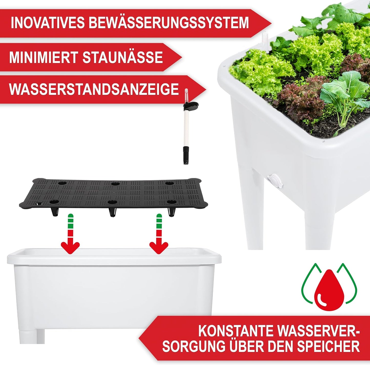 Hochbeet Frühbeet Kräuterhochbeet Anzucht Pflanzkasten  Weiss