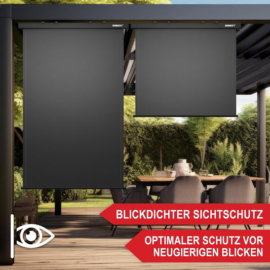 Vertikalmarkise ausziehbar Anthrazit Sichtschutz Sonnenschutz 250 x 160 cm (44475)