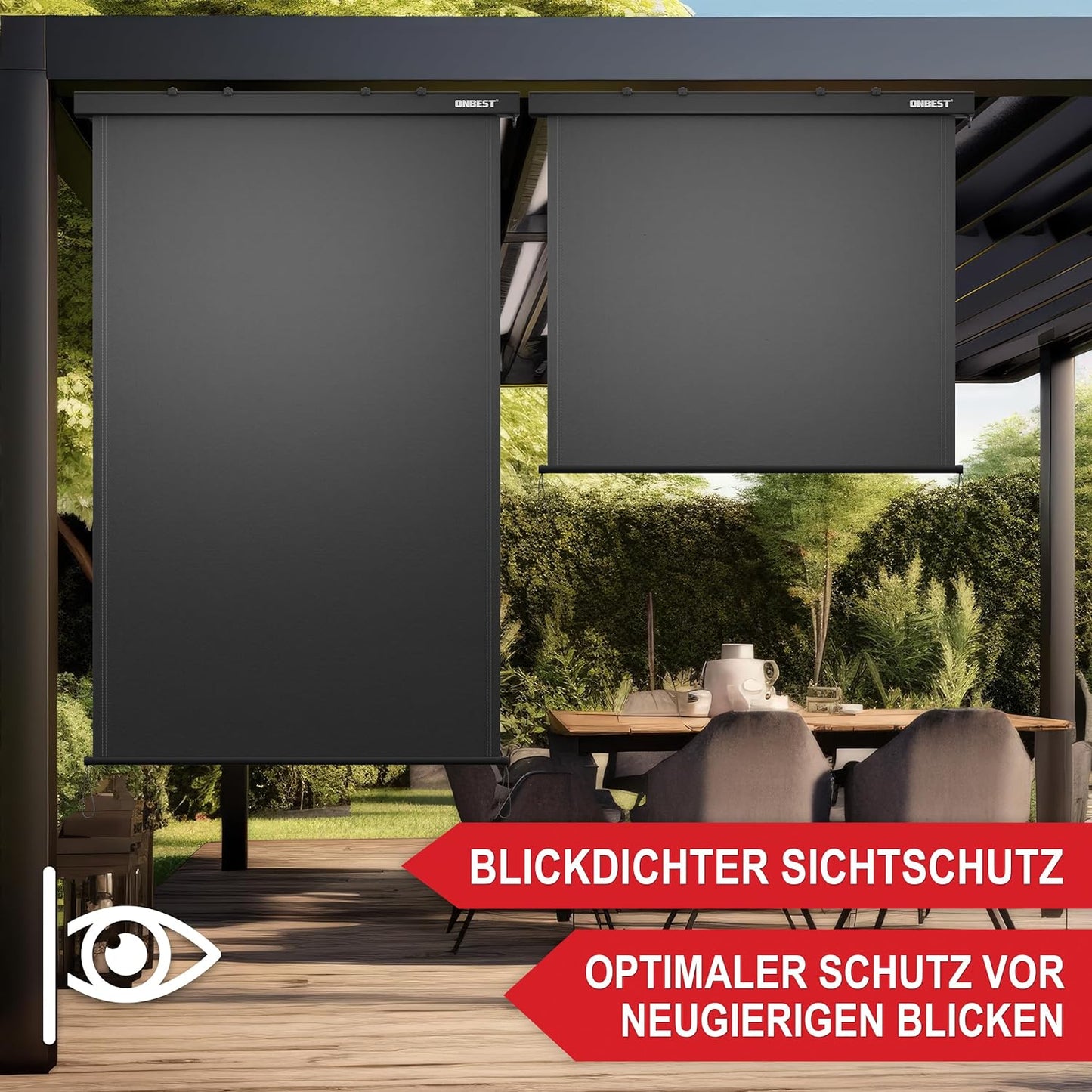 Vertikalmarkise ausziehbar Anthrazit Sichtschutz Windschutz 250 x 180 cm (44476)