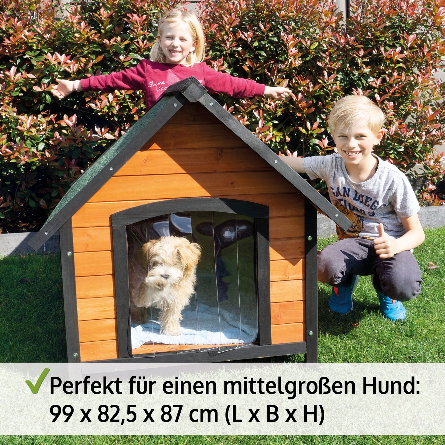 Hundehütte Hundehaus Hundeschlafplatz Luna L