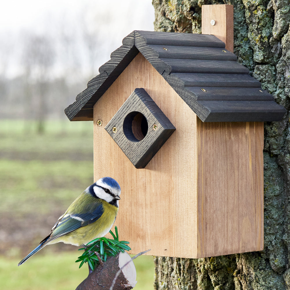 Vogelhaus Futterstation Futterhaus Nistkasten 332