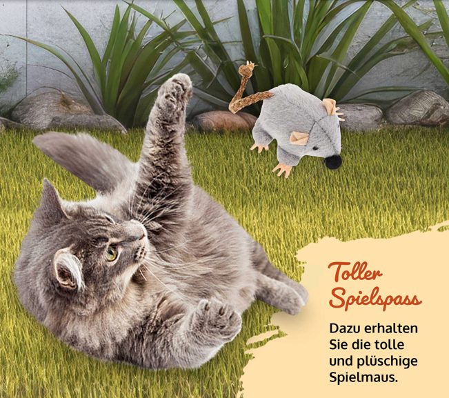 ! Bitte Lesen !! Retourenware ! Katzenhaus Katzenvilla Katzenkiste Katzenhütte Grau Weiss